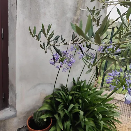 Casa In Antico Borgo Medievale A Ri, Via Giacomo Leopardi, 15 *
